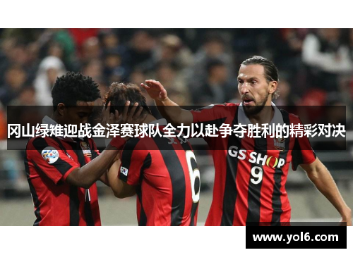 冈山绿雉迎战金泽赛球队全力以赴争夺胜利的精彩对决
